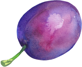 Watercolor plum